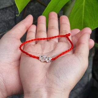 Vòng Tay Chỉ Đỏ Mix Tỳ Hưu Phong Thủy May Mắn - Charm Xi Sắt Mạ (Không Bạc) - Mộc Trầm Hương MTH