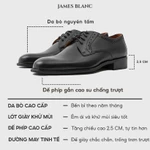 Giày tây nam Derby JB JAMES BLANC Do 15 - Da Bò nguyên miếng, thiết kế đục lỗ tinh tế, mũi giày cao — ảnh 2