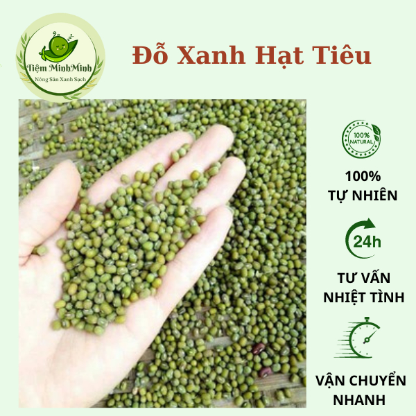 Đậu xanh (đỗ xanh) hạt tiêu làm giá đỗ rau mầm đóng túi 500gr ,1kg ...