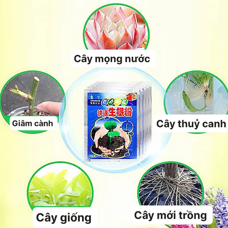 Bột kích mầm ra rễ cây trồng, gel sinh học lành tính