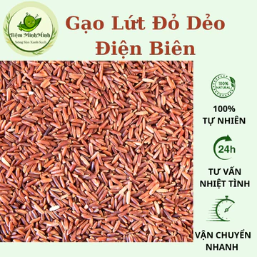 Gạo lứt đỏ dẻo không cần ngâm trước khi nấu,gạo lứt đỏ tốt cho sức khỏe đóng túi 500g-1kg