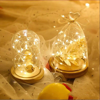 Dây đèn led đom đóm 2m trang trí sinh nhật, trang trí nhà cửa