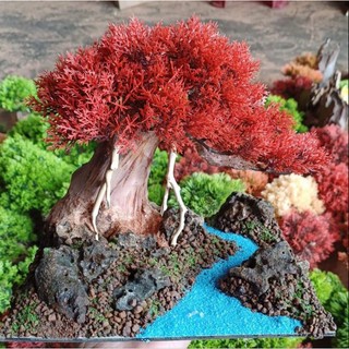 Cây gỗ Lũa Bonsai kết hợp với Dòng Suối dành cho bể cá 30 đến 45 cm. Tán Tùng có nhiều màu. Đế đá