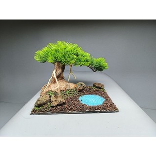 Tiểu cảnh Cây Đa Bên Hồ nước ( Cây Gỗ Lũa Bonsai kết hợp dòng suối) dành cho bể cá cảnh, bể cá thủy sinh