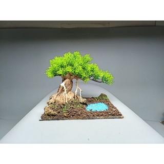 Tiểu cảnh Cây Đa Bên Hồ nước ( Cây Gỗ Lũa Bonsai kết hợp dòng suối) dành cho bể cá cảnh, bể cá thủy sinh