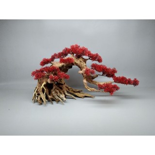 Cây gỗ lũa Bonsai dành cho bể cá cảnh kích thước lớn 70cm trở lên. Có nhiều mẫu