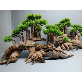 Cây gỗ lũa Bonsai dành cho bể cá cảnh kích thước lớn 70cm trở lên. Có nhiều mẫu
