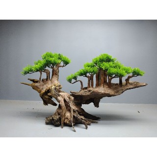 Cây gỗ lũa cho bể cá cảnh, bể thủy sinh.Dạng bố cục Vách Núi. Tán Tùng Xanh
