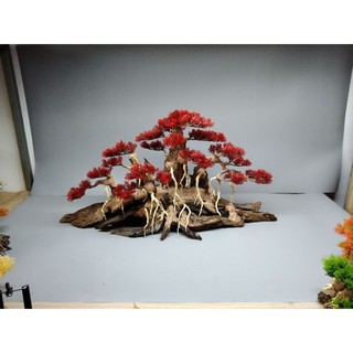 Cây gỗ lũa Bonsai cho bể cá cảnh kích thước lớn trên 1m2