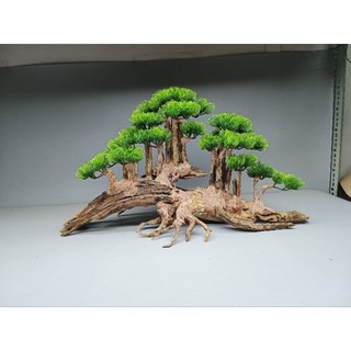 Cây gỗ lũa Bonsai cho bể cá cảnh kích thước lớn trên 1m2