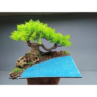 Cây gỗ lũa cho bể cá cảnh. Mẫu 2 tán cao 12 ngang 20 cm