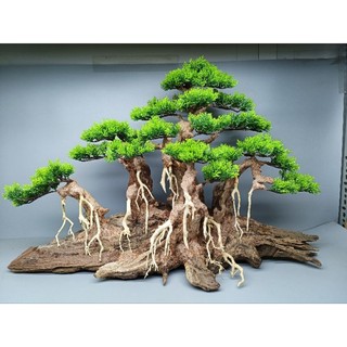 Cây gỗ lũa Bonsai cho bể cá cảnh kích thước lớn trên 1m2