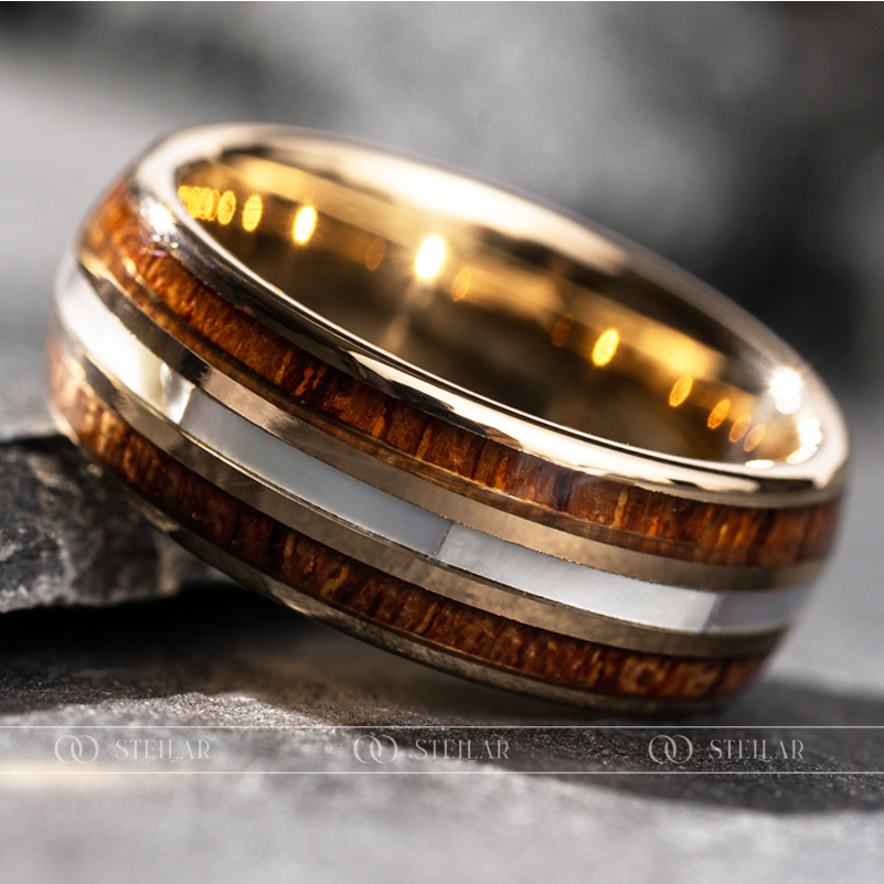 Titanium Steel Feng Shui Ring by Nhẫn Vĩnh Cửu Stellar