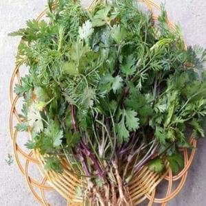 0,5 kg rau mùi chịu nhiệt mùi tía thơm