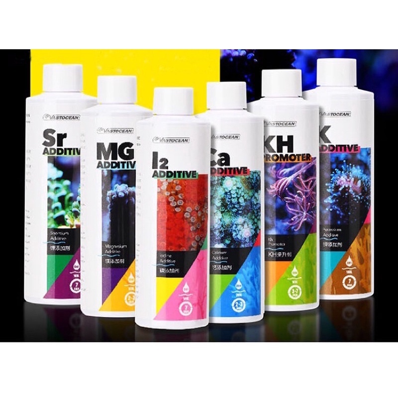 Top 6 Best Calcium Magnesium Potassium Supplements in 2026