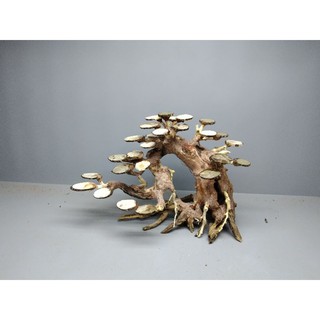 Cây gỗ lũa bonsai dành cho bể cá bể thủy sinh kích thước 40 đến 80 cm