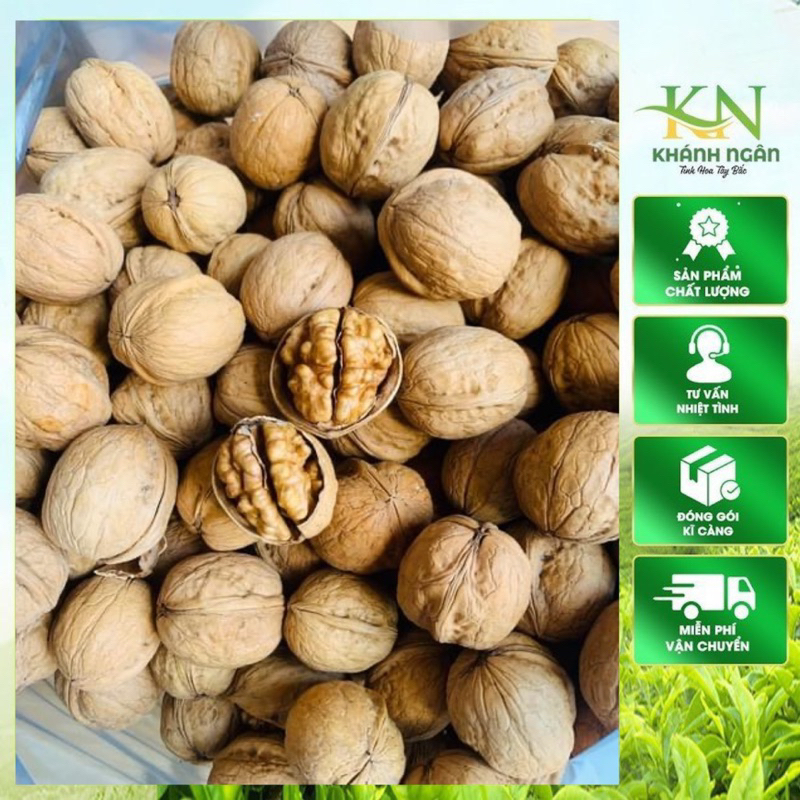 Quả Óc Chó Nếp Trắng - Dinh Dưỡng Cực Tốt Cho Bà Bầu, Người Giảm Cân, Ăn Kiêng
