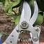 Combo 3 Kéo Cắt Cành Tỉa Cành Dụng Cụ Làm Vườn Cây Cảnh Bonsai Nhật Bản Kèm Lò Xo - Dụng Cụ NN GD Smart