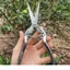 Combo 3 Kéo Cắt Cành Tỉa Cành Dụng Cụ Làm Vườn Cây Cảnh Bonsai Nhật Bản Kèm Lò Xo - Dụng Cụ NN GD Smart