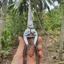 Combo 3 Kéo Cắt Cành Tỉa Cành Dụng Cụ Làm Vườn Cây Cảnh Bonsai Nhật Bản Kèm Lò Xo - Dụng Cụ NN GD Smart