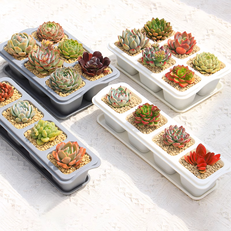 Ảnh Chậu trồng sen đá MONROVIA, trồng cây mini, hoa nhí, xương rồng, bonsai kèm đĩa lót 1