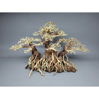 Cây gỗ lũa bonsai dành cho bể cá bể thủy sinh kích thước 40 đến 80 cm