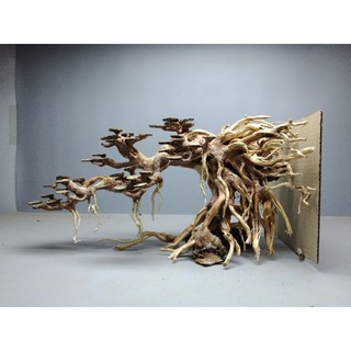 Gỗ lũa bonsai làm bằng gỗ lũa tự nhiên ,tán xương Dành cho bể cá thủy sinh.