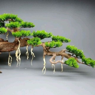 Gỗ lũa bonsai dành cho bể cá cảnh, bể thủy sinh kích thước bể 90cm trở lên.Tán tùng nhựa. Mẫu dáng huyền