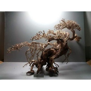 Gỗ lũa bonsai làm bằng gỗ lũa tự nhiên ,tán xương Dành cho bể cá thủy sinh.
