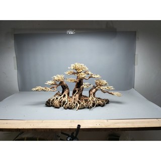 Gỗ lũa bonsai làm bằng gỗ lũa tự nhiên ,tán xương Dành cho bể cá thủy sinh.