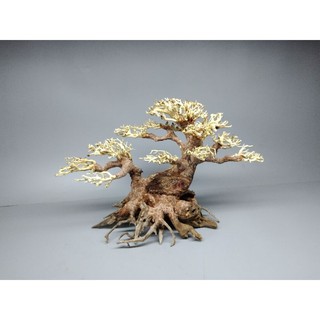 Cây gỗ lũa bonsai dành cho bể cá bể thủy sinh kích thước 40 đến 80 cm