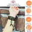 Trầm hương Sánh 108 hạt 6 li mix lu thống và hồ điệp thạch bích-Trầm Hương Hội an.