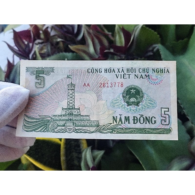 Tờ tiền 5 đồng năm 1985 việt nam | Shopee Việt Nam