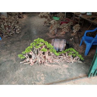 Gỗ lũa bonsai "Mẫu đại thụ" dùng trang trí cho bể cá cảnh.