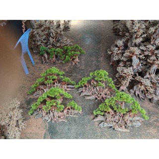Gỗ lũa bonsai "Mẫu đại thụ" dùng trang trí cho bể cá cảnh.