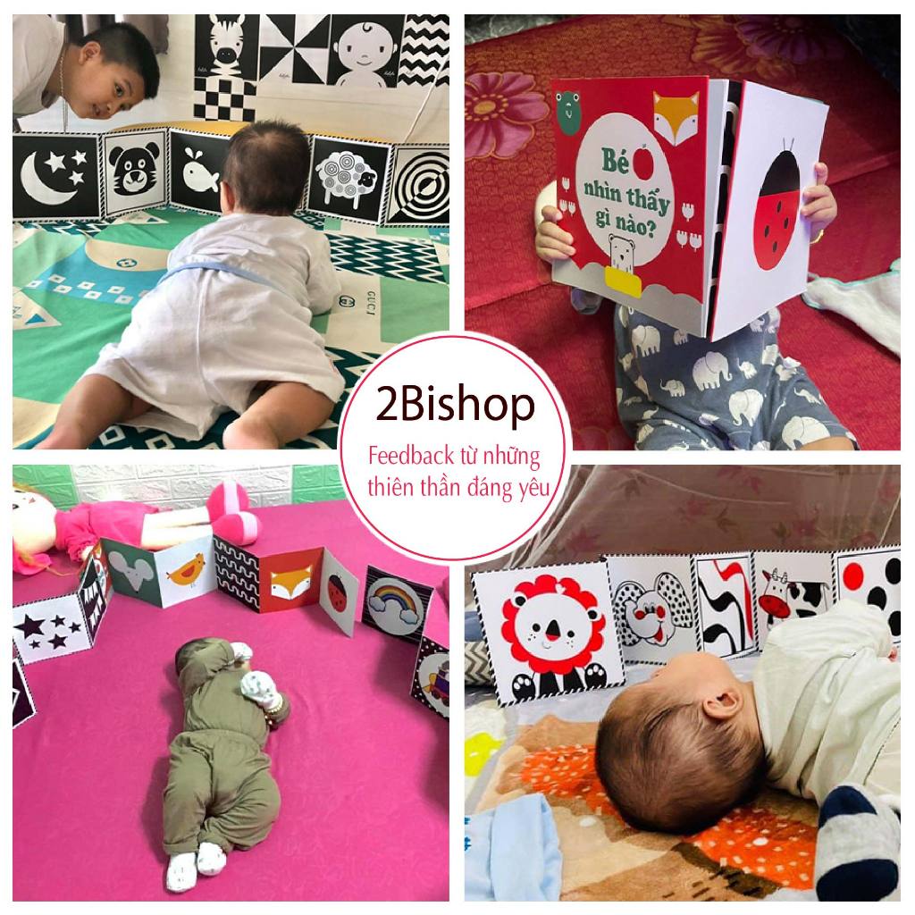 Bộ thẻ GẤP KÍCH THÍCH THỊ GIÁC CHO BÉ