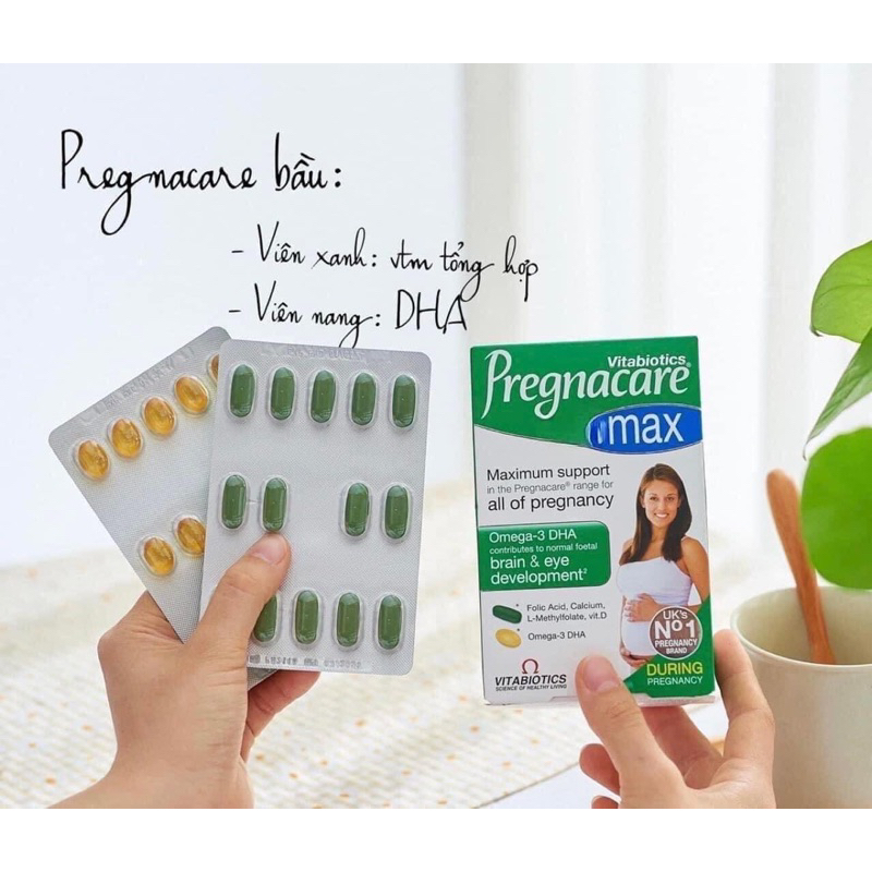 Vitamin Bầu Anh Pregnacare Max Shopee Việt Nam 