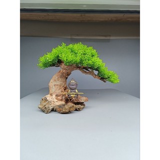 Gỗ lũa bonsai tán tùng dành cho bể cá cảnh, mẫu Đức Phật, Tô Ngộ Không ngồi thiền.