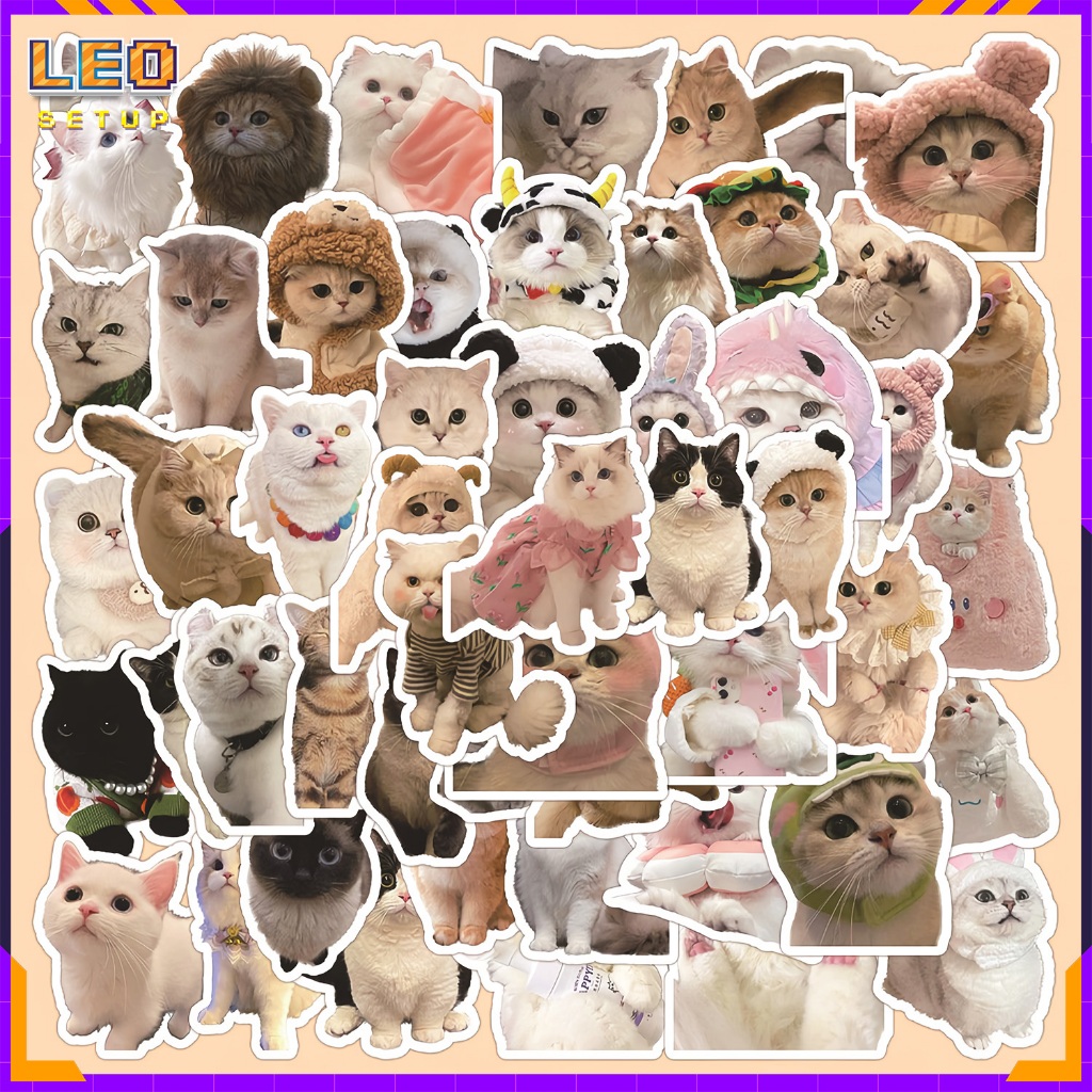 [SET 50] Sticker Mèo Chó Cheem Corgi meme hình dán Đa dạng, miếng dán ...