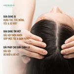 Bộ 5 Sản Phẩm Chăm Sóc Tóc Bồ Kết và Vỏ Bưởi HERBARIO Bao Gồm Dầu Gội, Dầu Xả, Xịt Dưỡng, Serum, Kem Ủ Tóc — ảnh 4