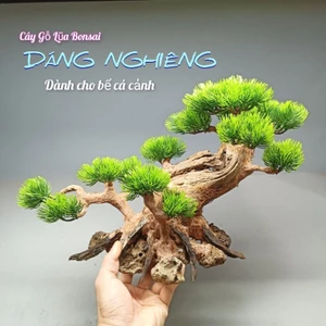Cây gỗ lũa Bonsai cho bể cá cảnh, bể thủy sinh kích thước từ 40cm trở lên