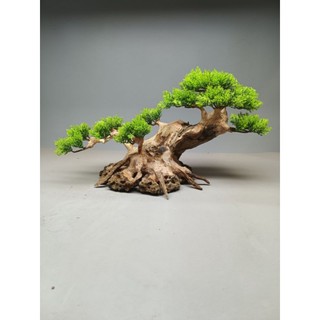 Cây gỗ lũa Bonsai cho bể cá cảnh, bể thủy sinh kích thước từ 40cm trở lên