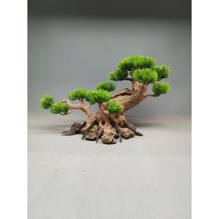 Cây gỗ lũa Bonsai cho bể cá cảnh, bể thủy sinh kích thước từ 40cm trở lên