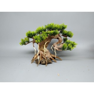 Cây Gỗ Lũa Bonsai dành cho bể cá cảnh, bể thủy sinh. Mẫu Đối Lưng