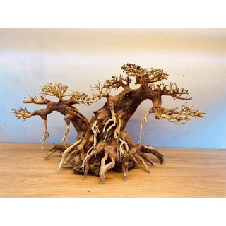 Cây Gỗ Lũa Bonsai dành cho bể cá cảnh, bể thủy sinh. Mẫu Đối Lưng