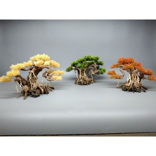 Cây Gỗ Lũa Bonsai dành cho bể cá cảnh, bể thủy sinh. Mẫu Đối Lưng
