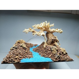 Layout Cây Gỗ Lũa Bonsai kết hợp dòng suối dành cho bể thủy sinh nhỏ, bể mini, cubic