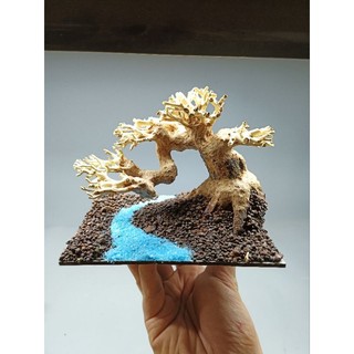 Layout Cây Gỗ Lũa Bonsai kết hợp dòng suối dành cho bể thủy sinh nhỏ, bể mini, cubic