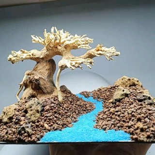 Layout Cây Gỗ Lũa Bonsai kết hợp dòng suối dành cho bể thủy sinh nhỏ, bể mini, cubic