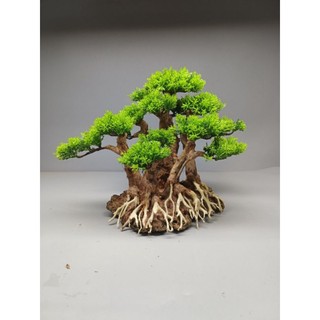 Cây gỗ lũa Bonsai dành cho bể cá cảnh, bể thủy sinh. Mẫu Cụm rừng cho bể cá 50-90 cm